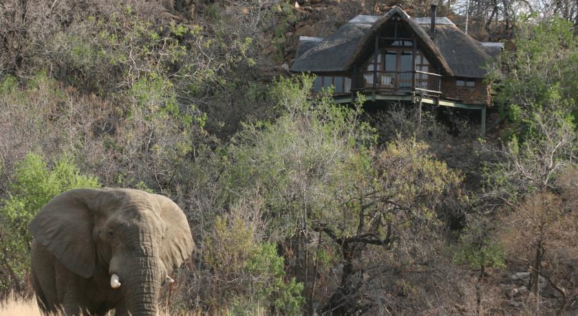 Kuzuko Lodge Addo Extérieur photo