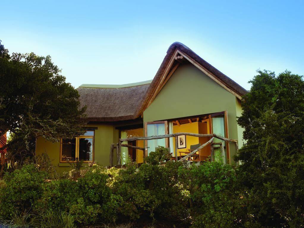 Kuzuko Lodge Addo Extérieur photo