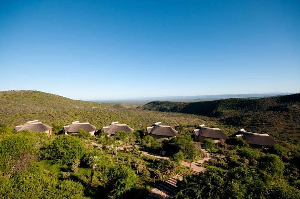 Kuzuko Lodge Addo Extérieur photo